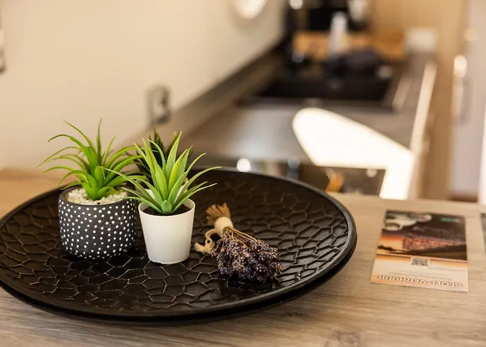 Hotel en barco Of The Houseboat - Zen Dinteloord