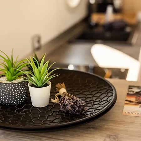 Hotel en barco Of The Houseboat - Zen Dinteloord